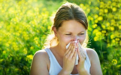 9 Ways to Keep Seasonal Allergies at Bay