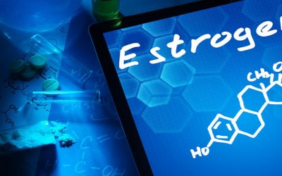 What Everyone Should Know About Environmental Estrogens